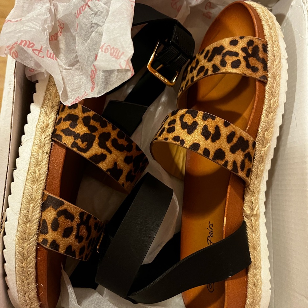 Dream Paris flats